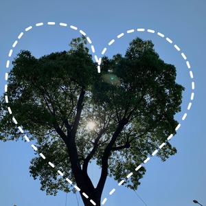 性欧美内谢一Vide0Se
